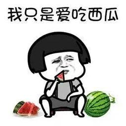 吃瓜娱乐分享,带你一网打尽!