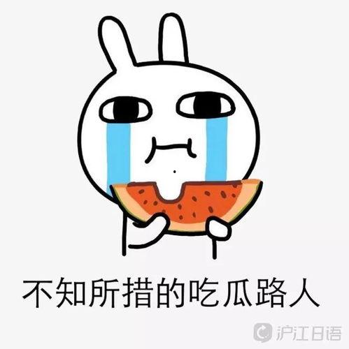 娱乐圈吃瓜文案搞笑图片